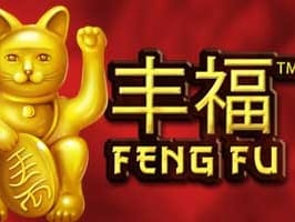Feng Fu game cover